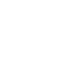 software software